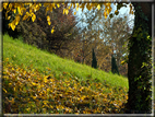 foto Colline Marosticane in Autunno